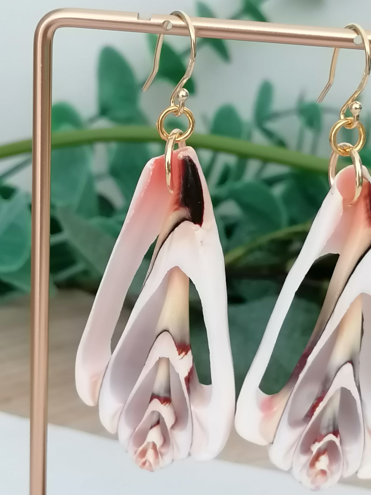 Conch Shell Slice Drop Earrings | 24ct Gold Vermeil over 925 Sterling silver