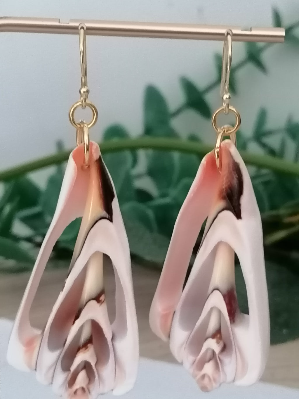 Conch Shell Slice Drop Earrings | 24ct Gold Vermeil over 925 Sterling Silver
