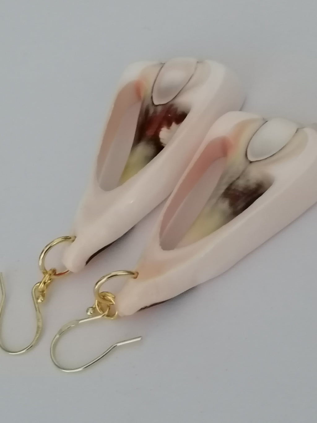 Conch Shell Slice Drop Earrings | 24ct Gold Vermeil over 925 Sterling Silver