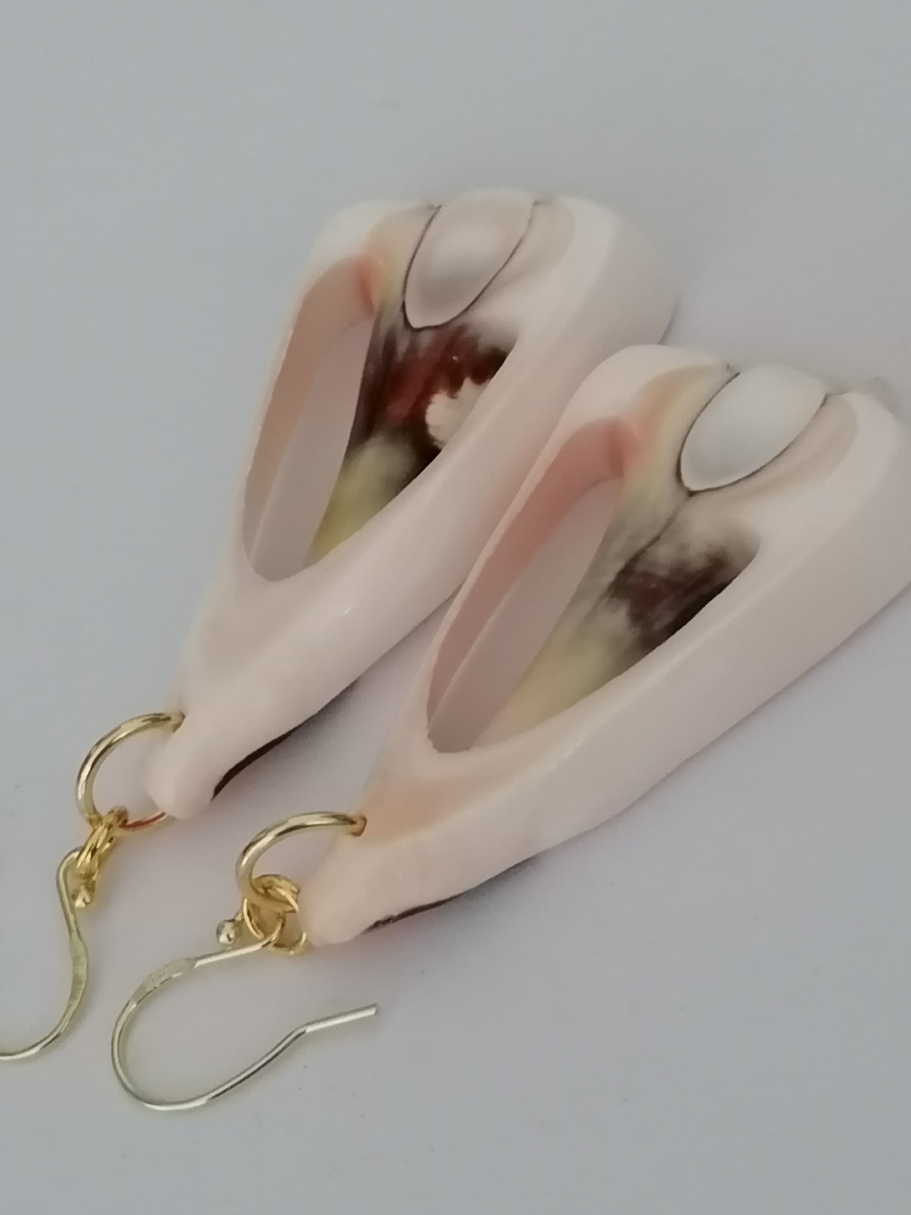 Conch Shell Slice Drop Earrings | 24ct Gold Vermeil over 925 Sterling Silver