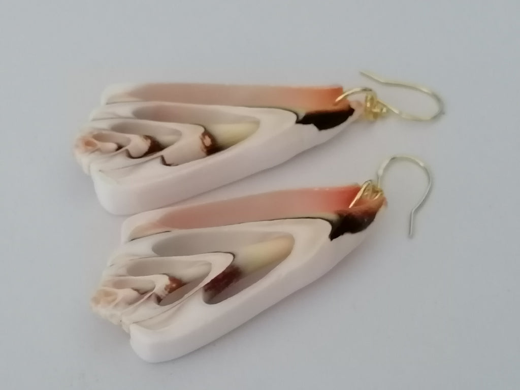 Conch Shell Slice Drop Earrings | 24ct Gold Vermeil over 925 Sterling Silver