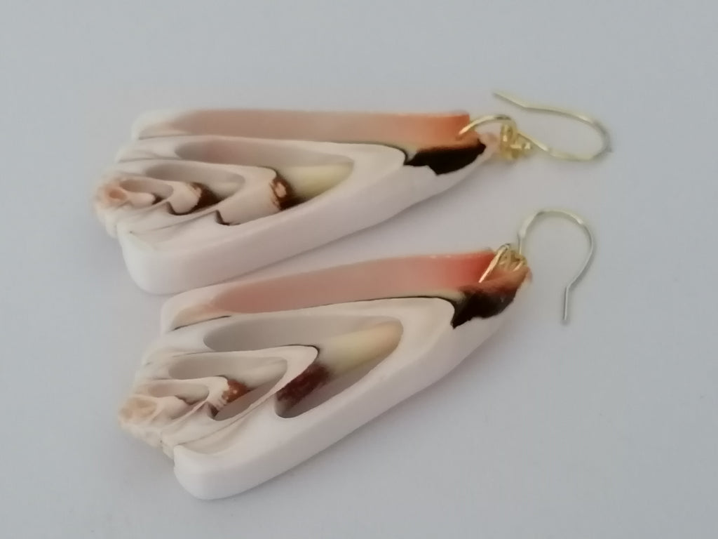 Conch Shell Slice Drop Earrings | 24ct Gold Vermeil over 925 Sterling Silver