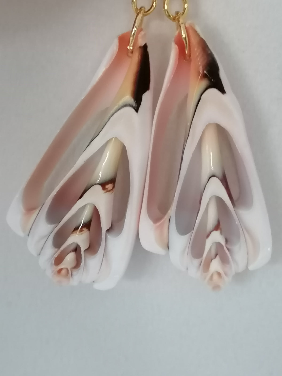 Conch Shell Slice Drop Earrings | 24ct Gold Vermeil over 925 Sterling Silver