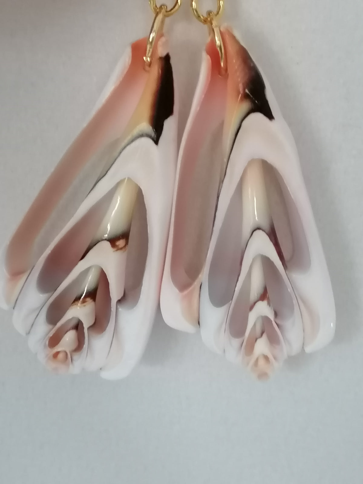 Conch Shell Slice Drop Earrings | 24ct Gold Vermeil over 925 Sterling Silver