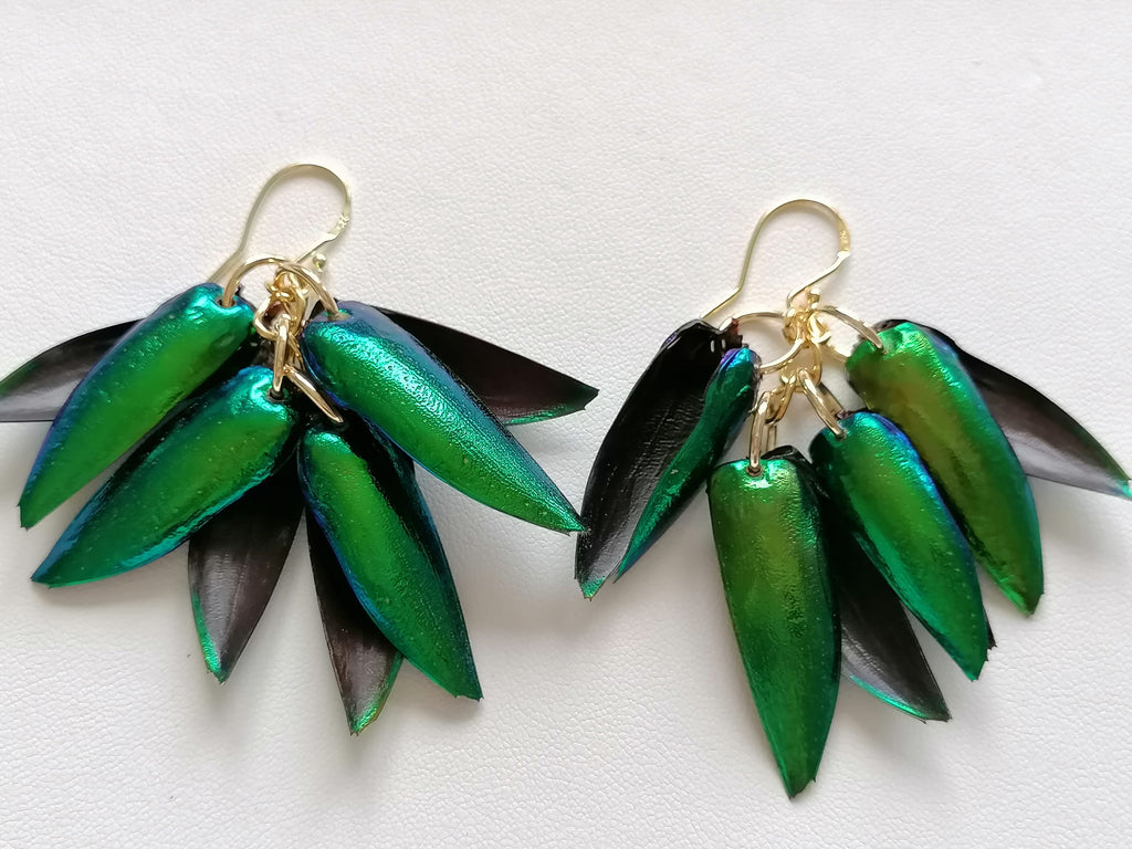 Jewel Beetle Wing Earrings – 24ct Gold Vermeil & 925 Sterling Silver