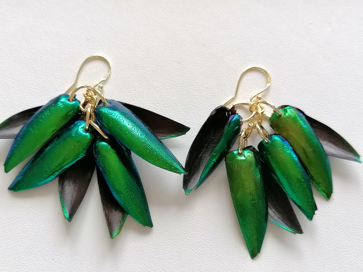 Jewel Beetle Wing Earrings – 24ct Gold Vermeil & 925 Sterling Silver