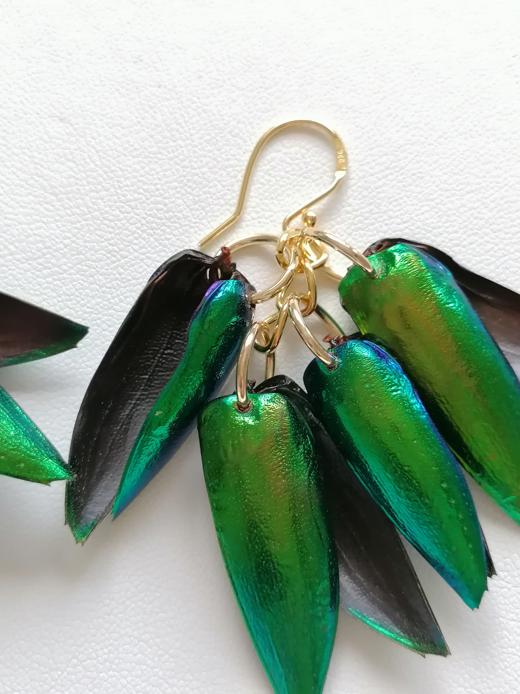 Jewel Beetle Wing Earrings – 24ct Gold Vermeil & 925 Sterling Silver
