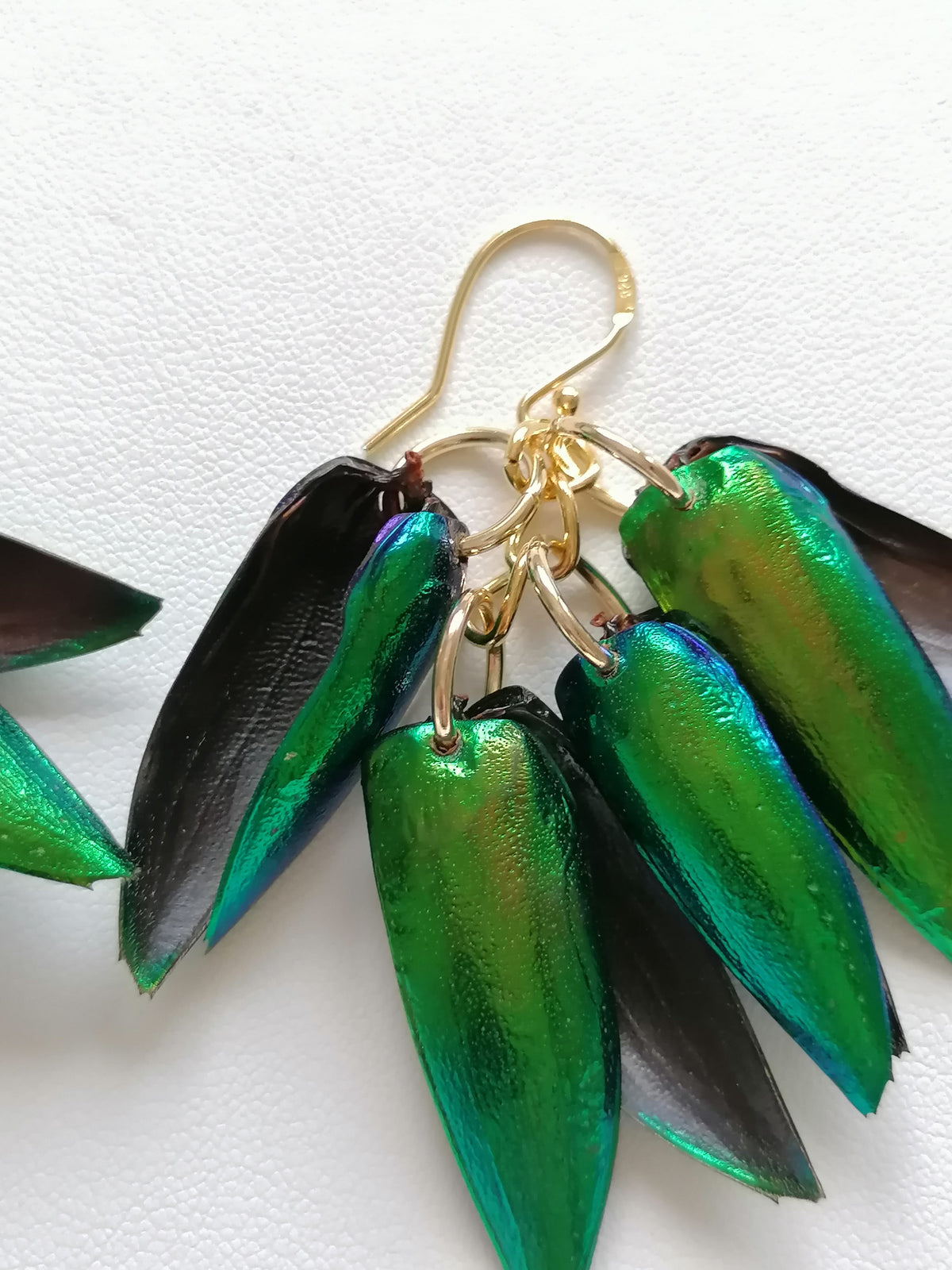 Jewel Beetle Wing Earrings – 24ct Gold Vermeil & 925 Sterling Silver