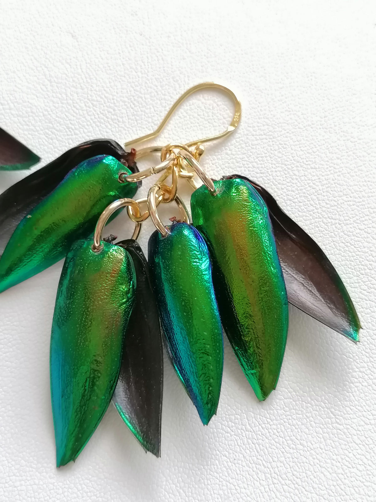 Jewel Beetle Wing Earrings – 24ct Gold Vermeil & 925 Sterling Silver