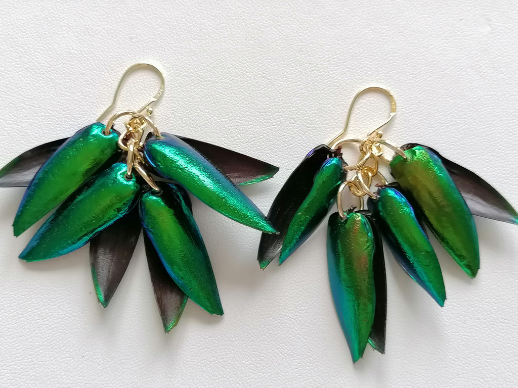 Jewel Beetle Wing Earrings – 24ct Gold Vermeil & 925 Sterling Silver