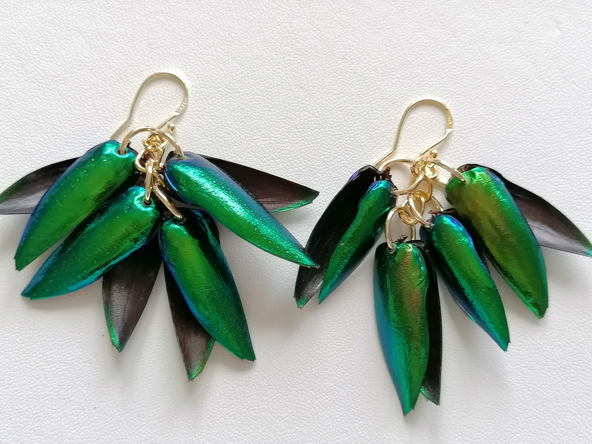 Jewel Beetle Wing Earrings – 24ct Gold Vermeil & 925 Sterling Silver