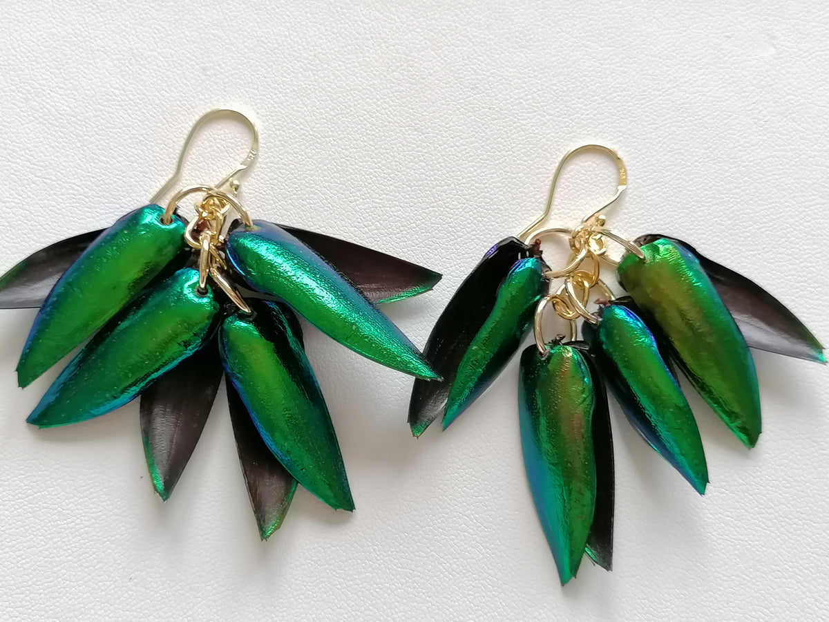 Jewel Beetle Wing Earrings – 24ct Gold Vermeil & 925 Sterling Silver
