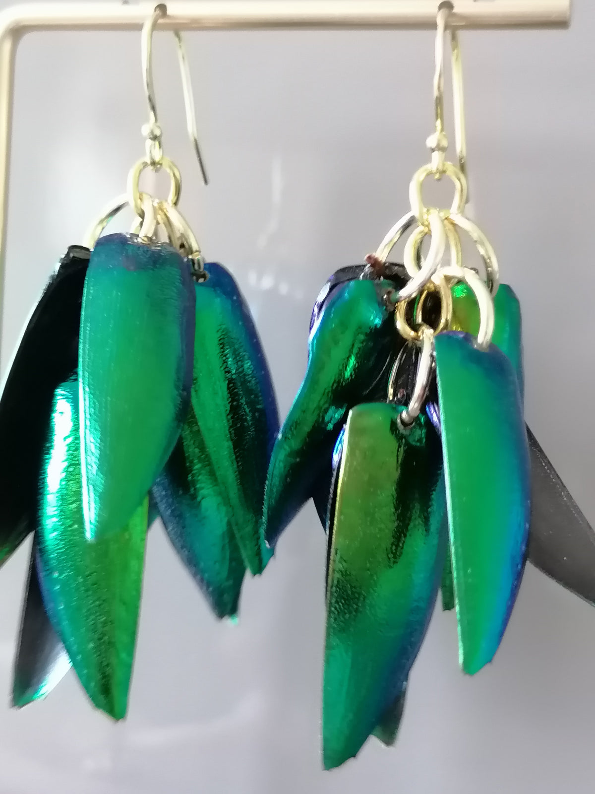 Jewel Beetle Wing Earrings – 24ct Gold Vermeil & 925 Sterling Silver