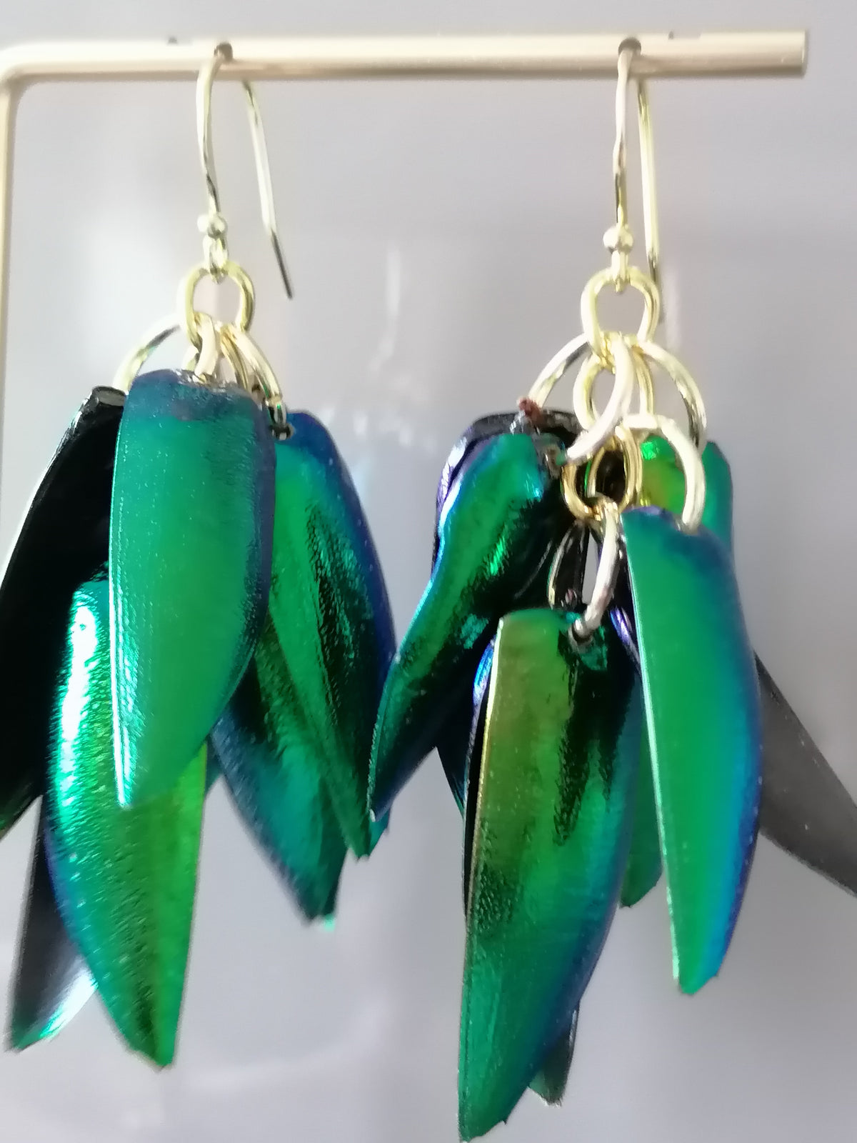 Jewel Beetle Wing Earrings – 24ct Gold Vermeil & 925 Sterling Silver