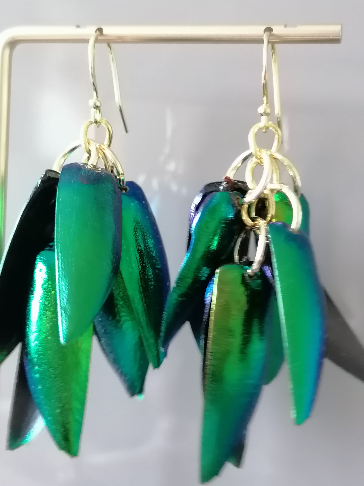 Jewel Beetle Wing Earrings – 24ct Gold Vermeil & 925 Sterling Silver