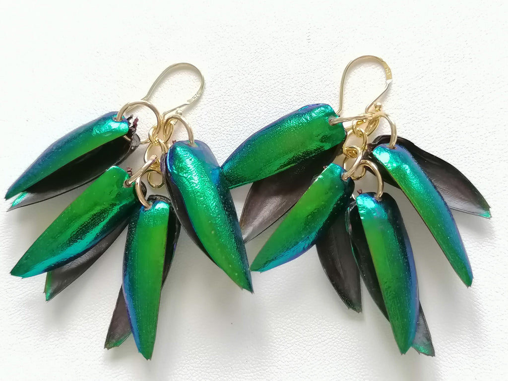 Jewel Beetle Wing Earrings – 24ct Gold Vermeil & 925 Sterling Silver