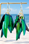 Iridescent green jewel beetle wing cluster earrings hanging on a gold stand with a coastal blue sky and sea background